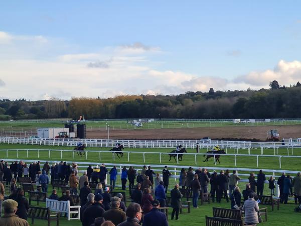 Horse Race
